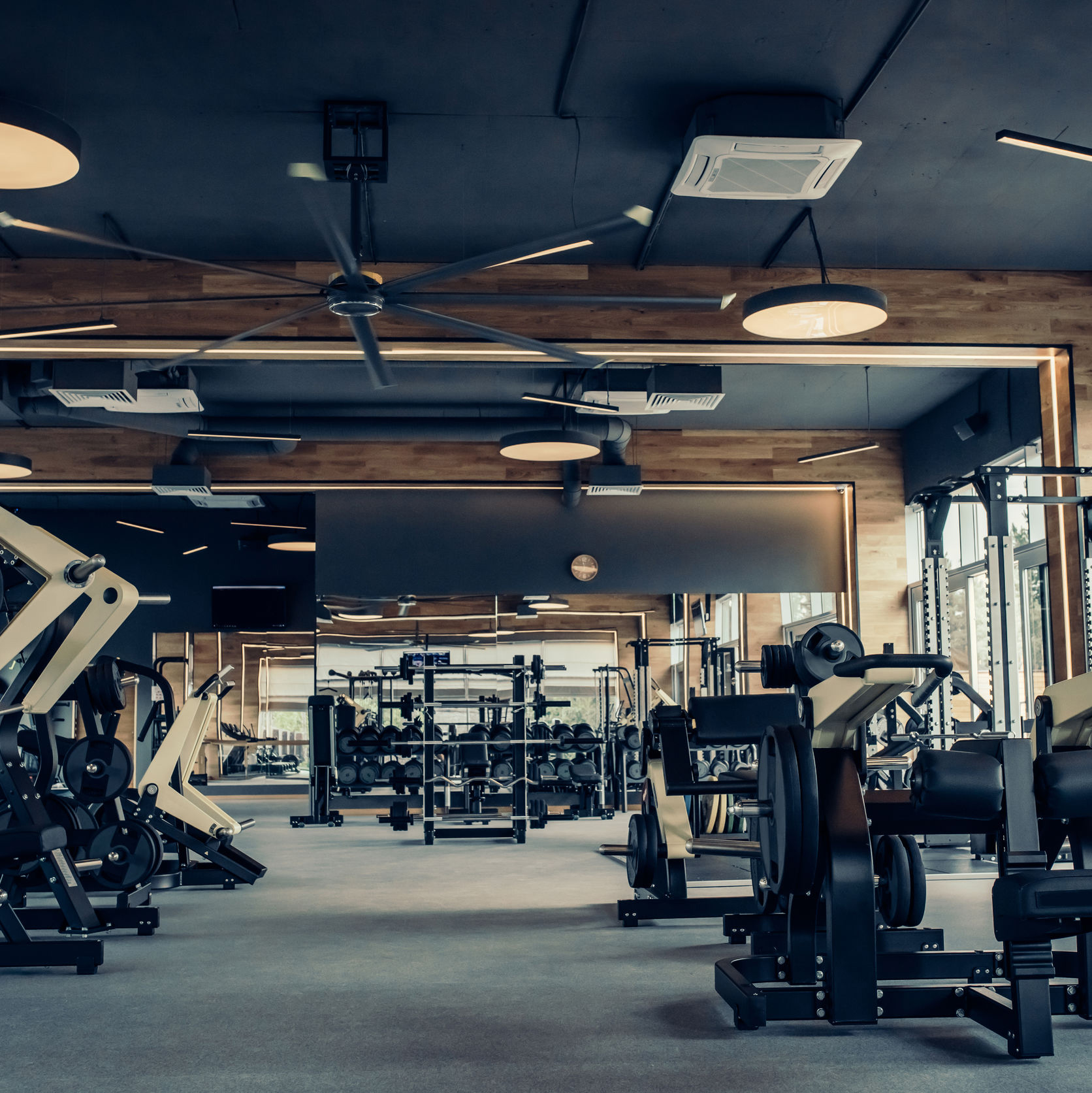 Modern light gym. Sports equipment in gym. Barbells of different weight on rack.